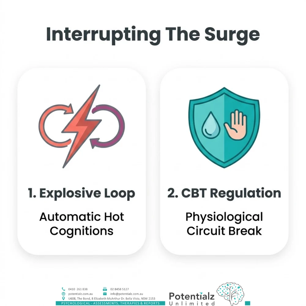 Two-panel infographic on interrupting the anger surge: the explosive loop of automatic hot cognitions, and the CBT regulation that creates a physiological circuit break.