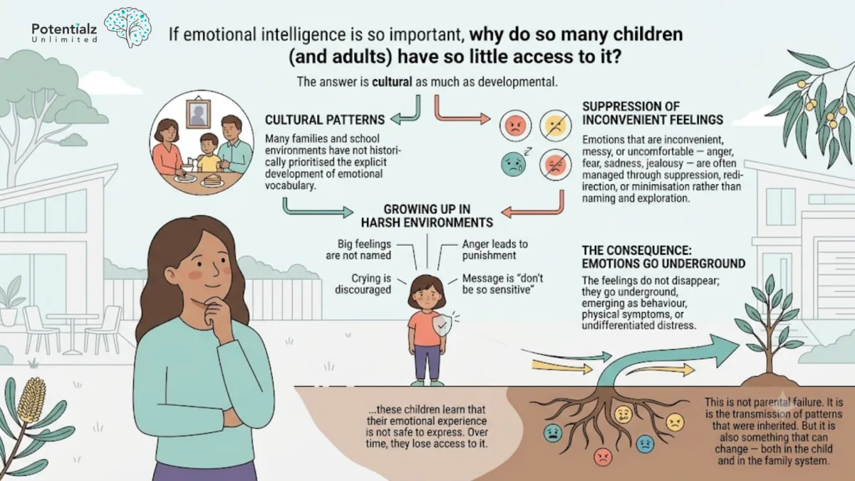 Infographic explaining why many children have little access to emotional intelligence — cultural patterns that do not prioritise emotional vocabulary, suppression of inconvenient feelings, and harsh environments where big feelings are not named, so emotions go underground and emerge as behaviour or distress; this is inherited patterning, not parental failure, and it can change