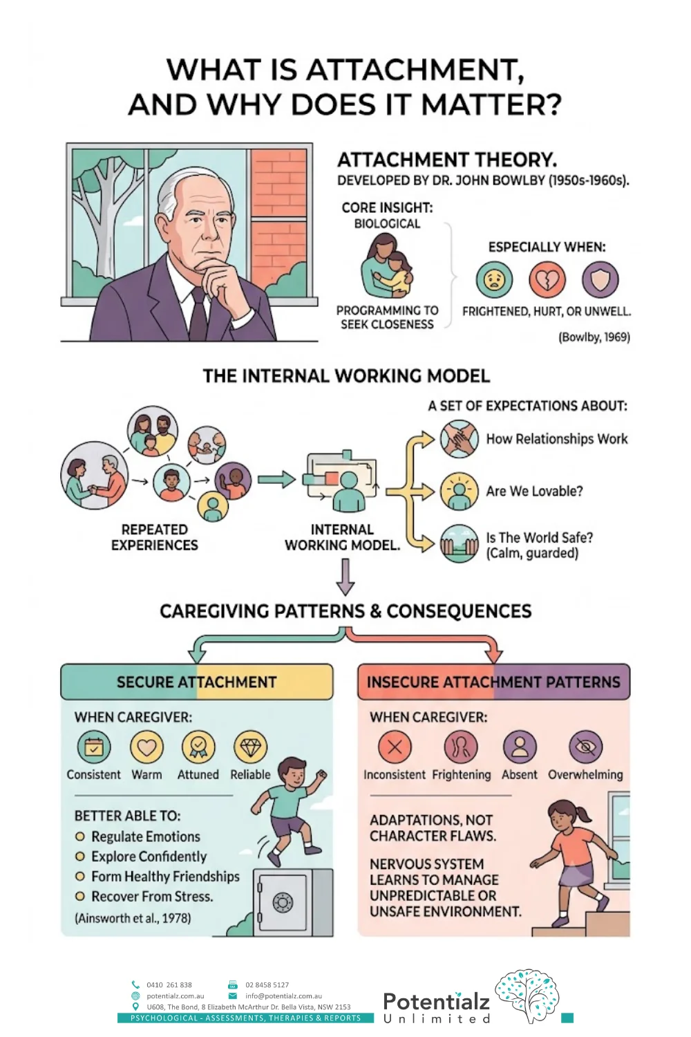 Infographic explaining attachment theory — John Bowlby's core insight that children are biologically driven to seek closeness to a protective caregiver, how repeated experiences form the child's internal working model, and the difference between secure and insecure attachment