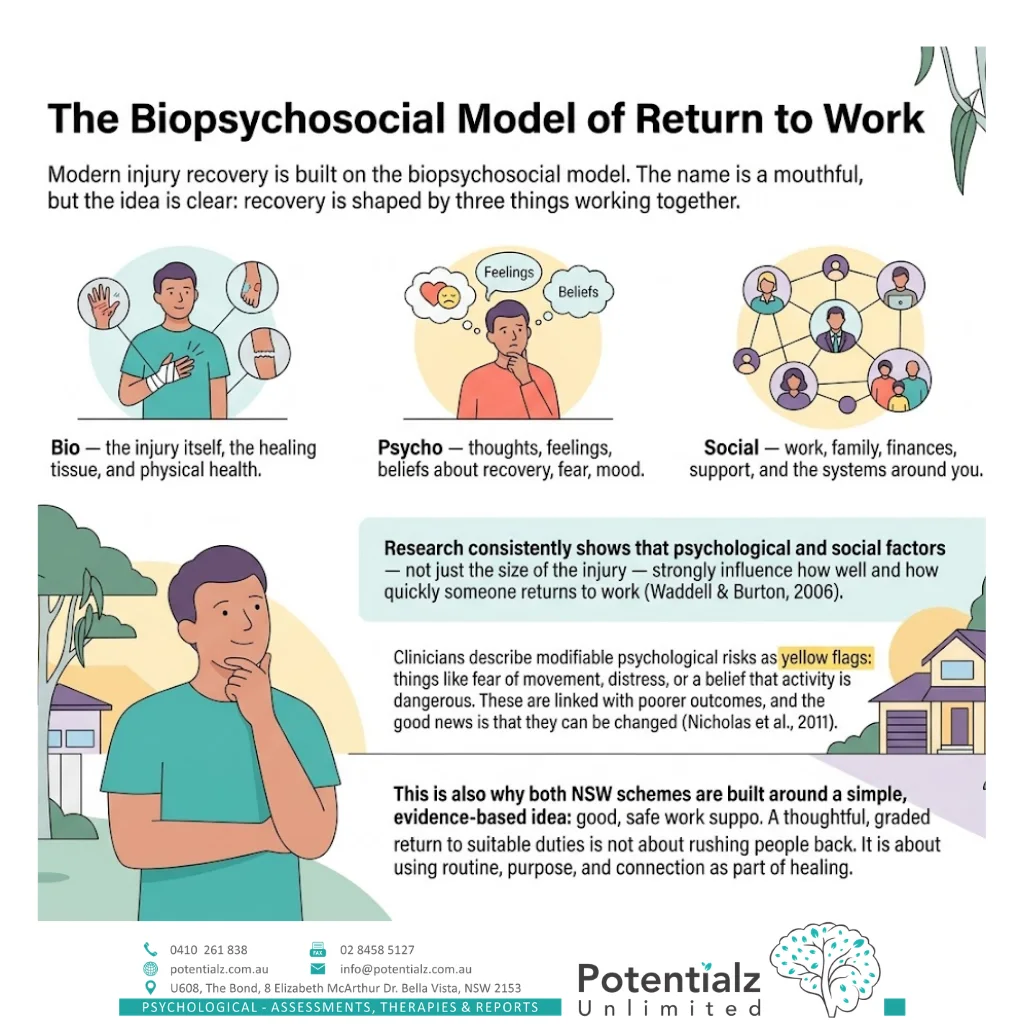 Infographic: the biopsychosocial model of return to work — biological, psychological, and social factors working together, and why psychological factors strongly predict return to work