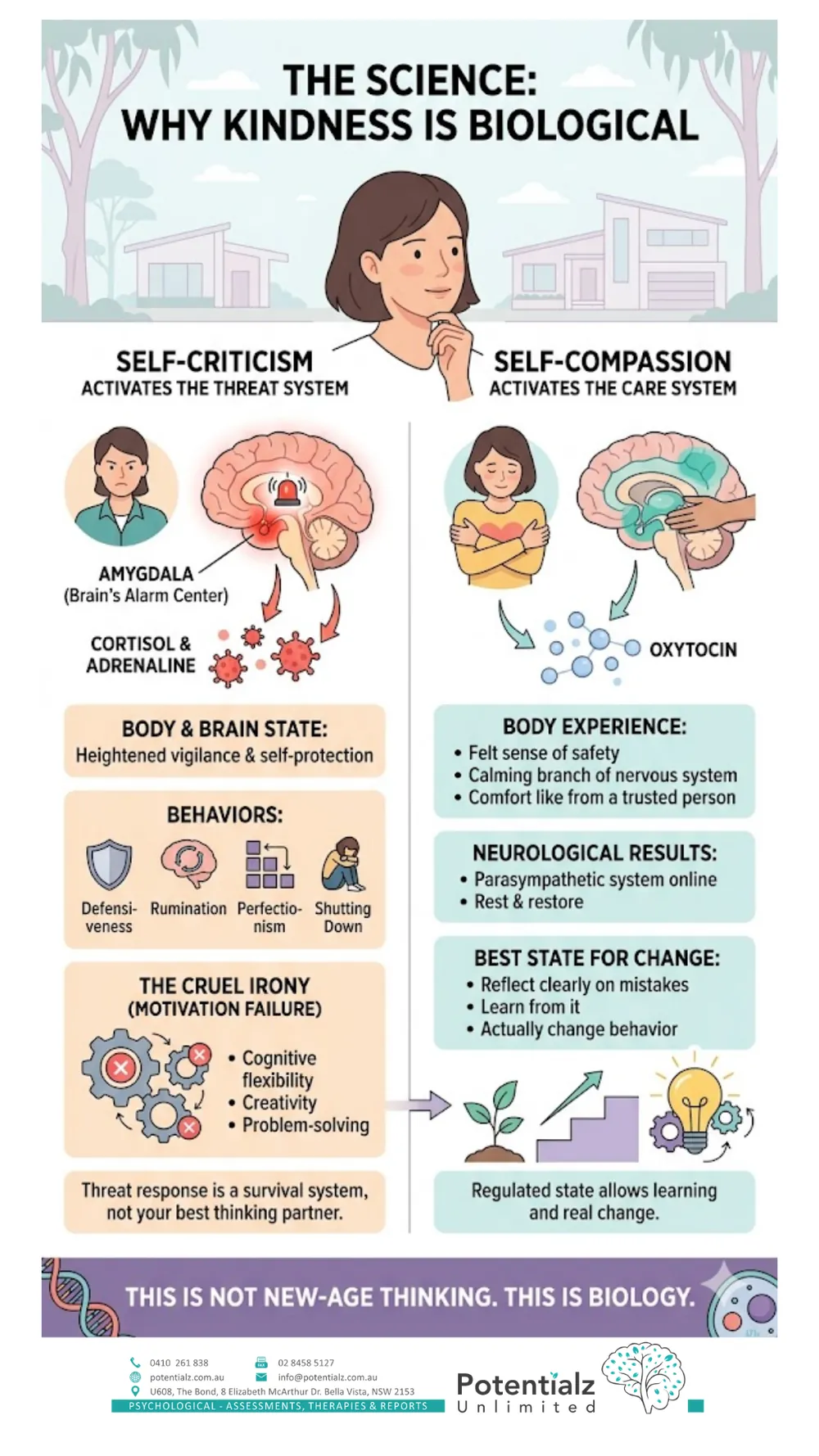 Infographic: the science of self-compassion — self-criticism activates the threat system (amygdala, cortisol) while self-compassion activates the care system (oxytocin)