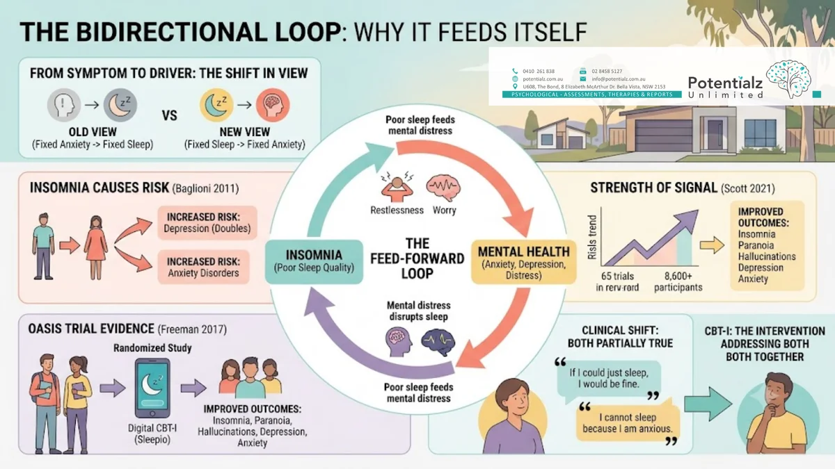 Infographic: the anxiety–sleep loop is bidirectional — Baglioni et al. (2011) meta-analysis showed insomnia doubles the risk of later depression; Freeman et al. (2017) OASIS trial showed improving sleep reduces paranoia, depression, and anxiety in 3,800 students