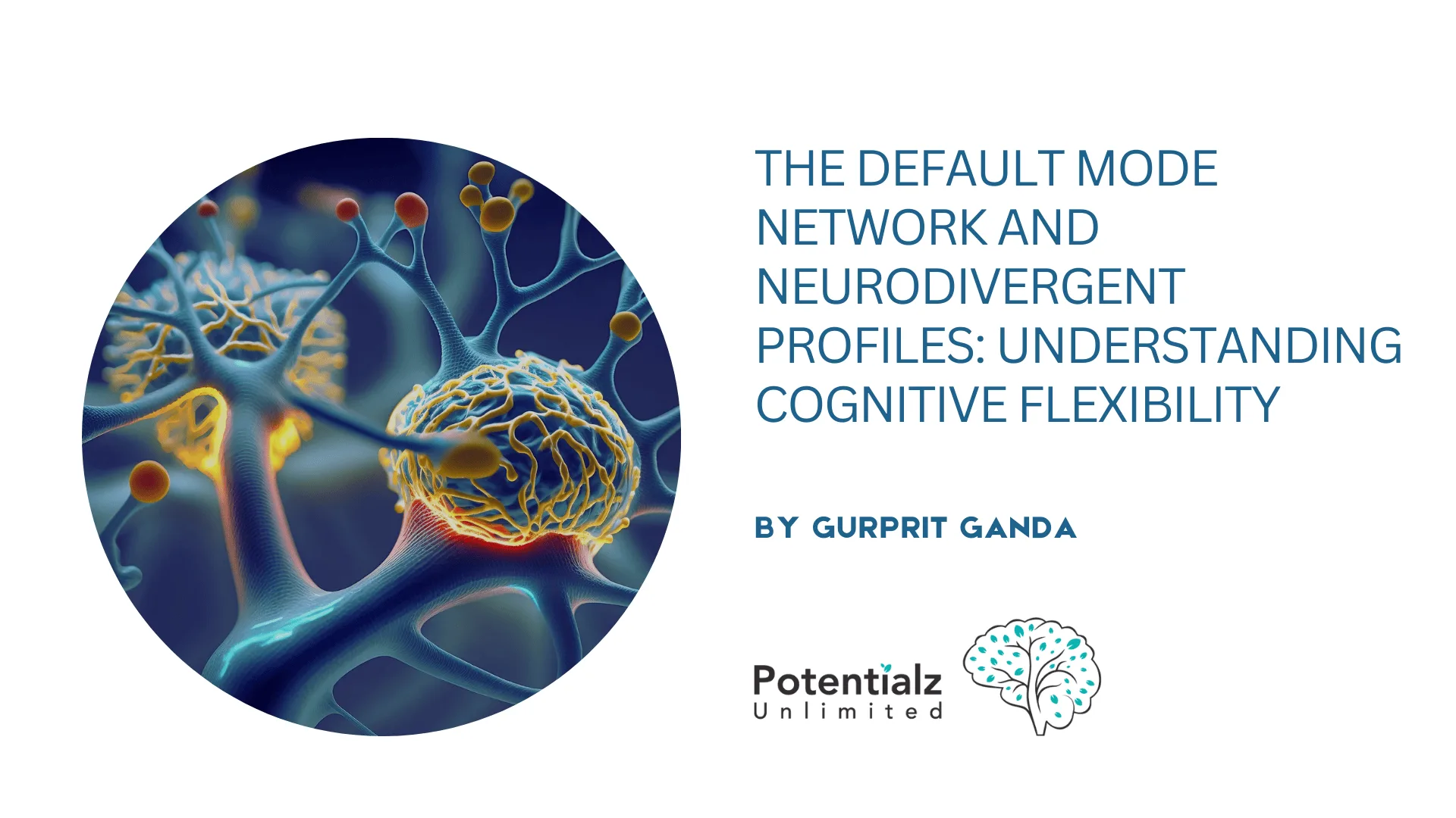 Understanding Cognitive Flexibility