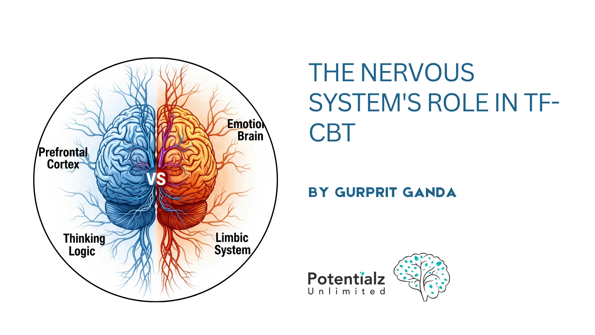 The Nervous System's Role in TF-CBT: Understanding Trauma Through a Somatic Lens
