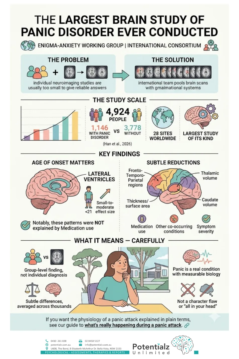 Infographic: the largest brain study of panic disorder ever conducted — the ENIGMA-Anxiety mega-analysis of 4,924 people across 28 sites, showing larger lateral ventricles with early onset and subtle cortical reductions