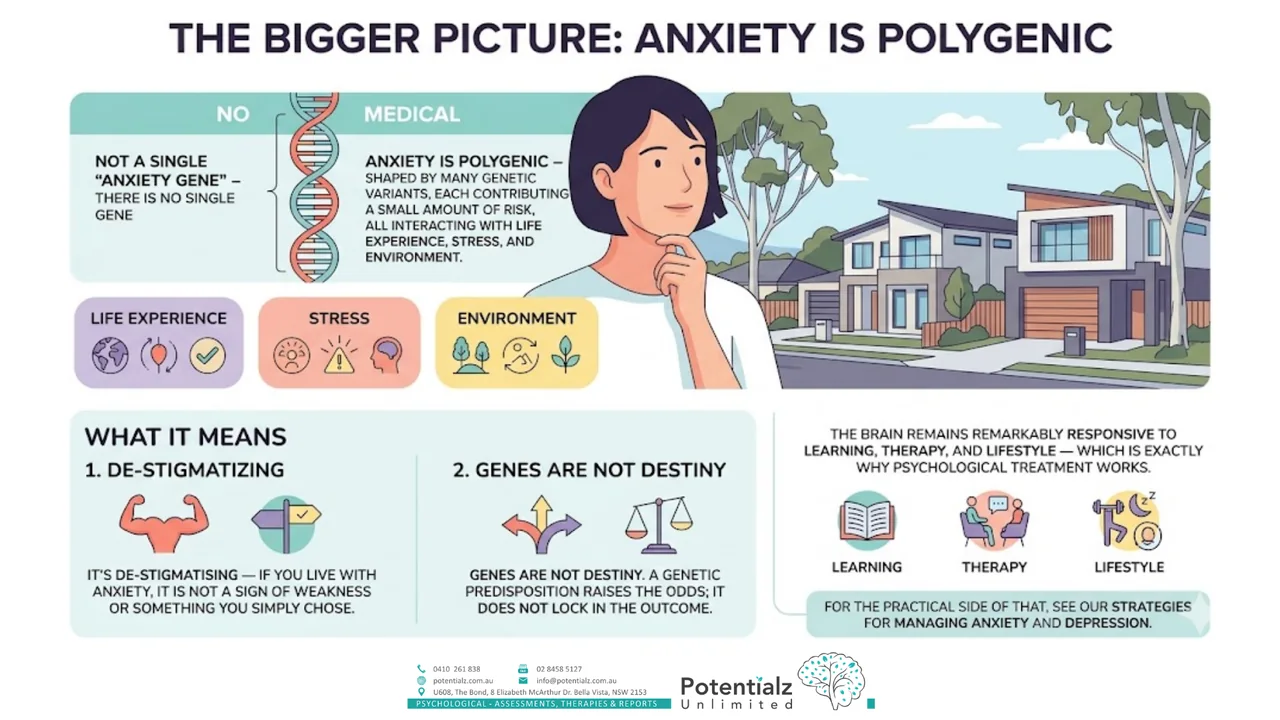 Infographic: the bigger picture — anxiety is polygenic, shaped by many genetic variants interacting with life experience, stress and environment, with the message that genes are not destiny