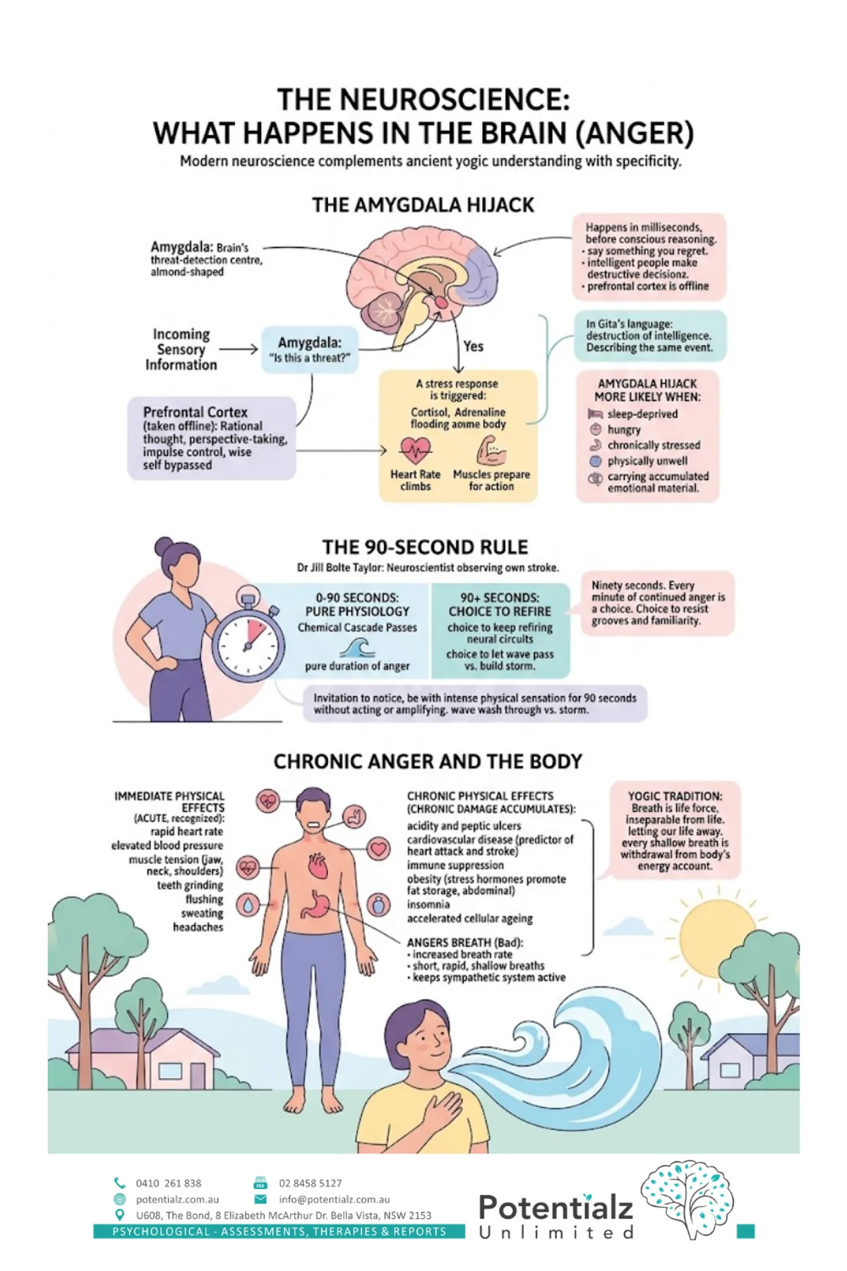 Infographic on the neuroscience of anger — the amygdala hijack (threat-detection centre overriding the prefrontal cortex), the 90-second rule (Jill Bolte Taylor), and the chronic effects of anger on the body including cardiovascular disease, immune suppression, and accelerated cellular ageing