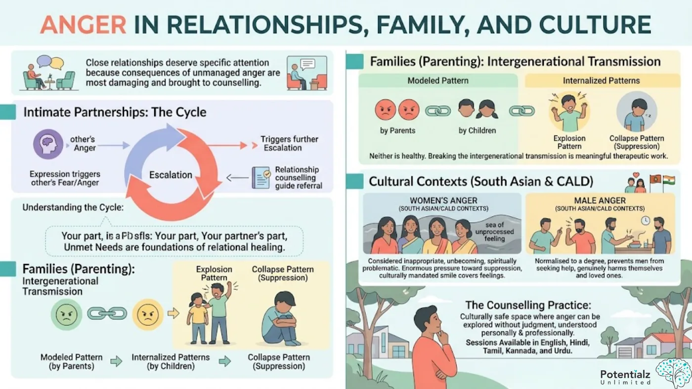 Infographic on anger in relationships and culture — the intimate-partnership cycle of escalation, intergenerational transmission of anger patterns from parents to children, and the cultural contexts of women's and men's anger in South Asian and CALD communities