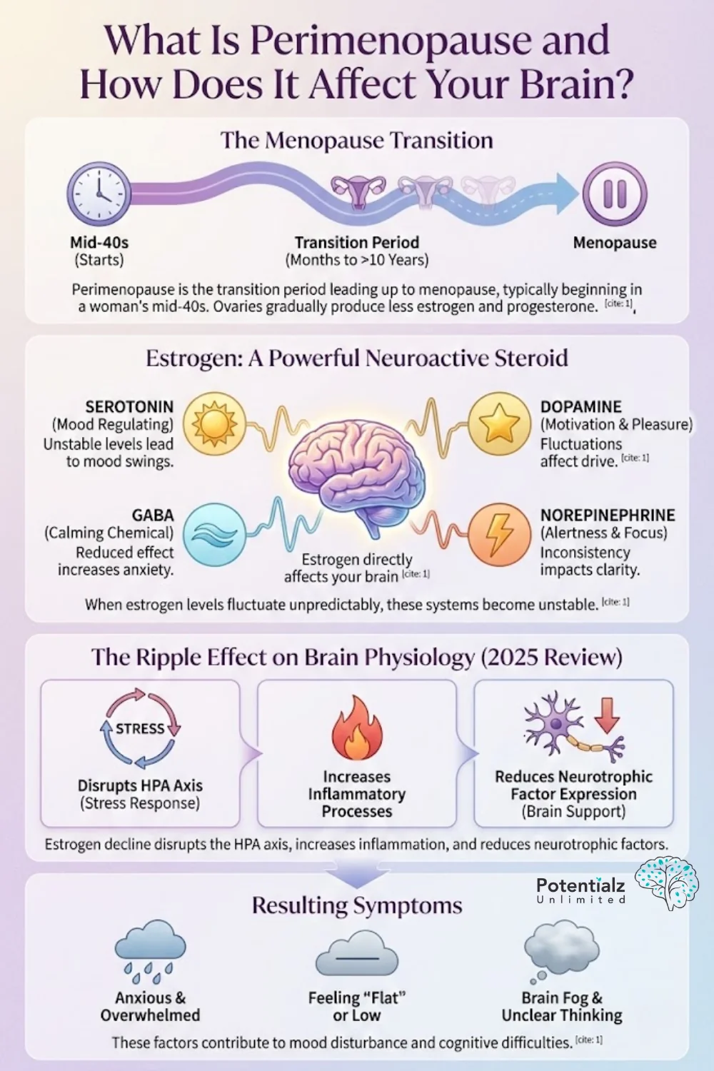 Understanding Perimenopause: This infographic explores the transition leading up to menopause and its effects on the brain. It highlights how fluctuating estrogen levels impact mood, cognition, and stress response, leading to symptoms like mood swings, anxiety, and brain fog.