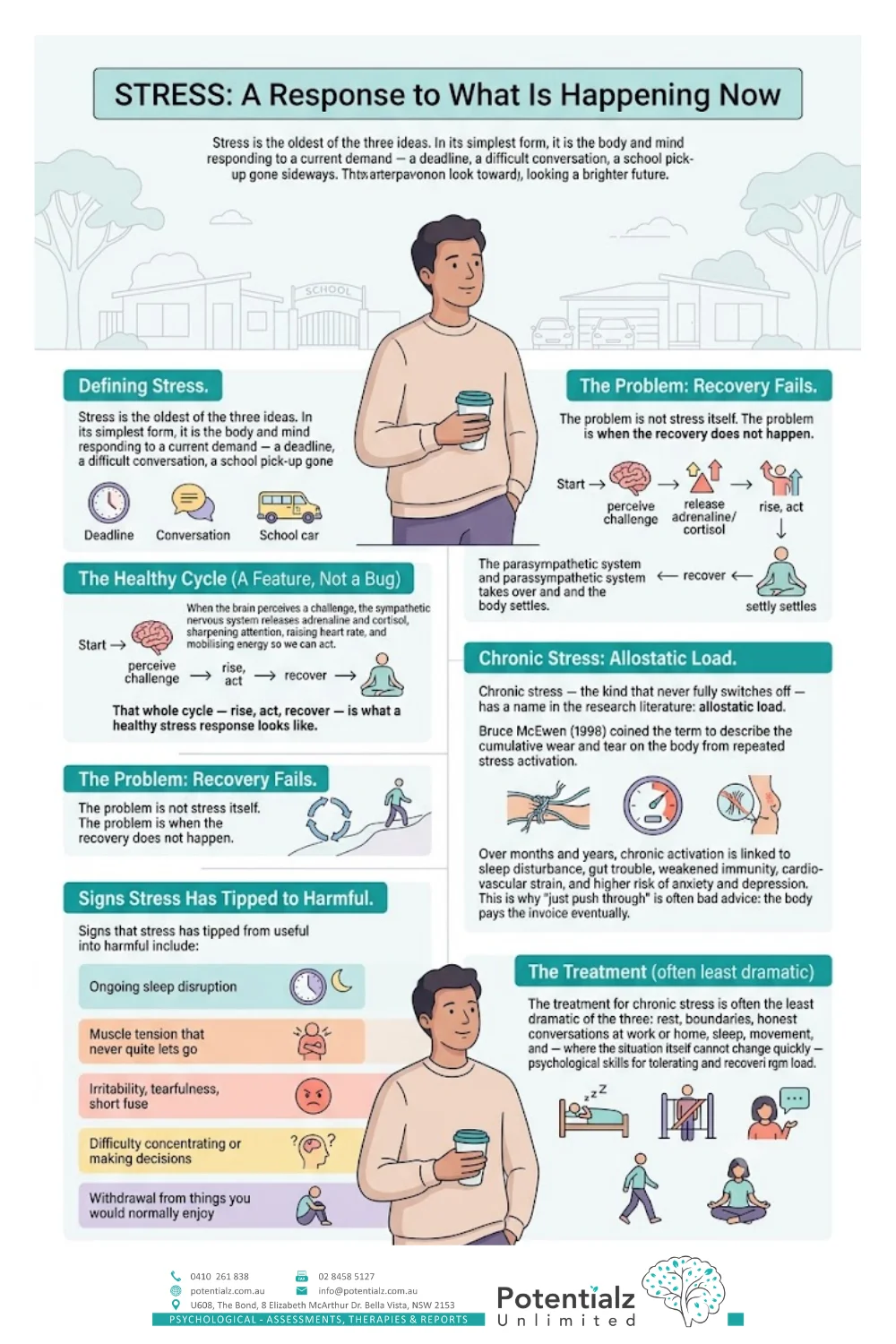 Infographic: stress is a response to a current demand — meant to rise and to recover; chronic activation produces allostatic load, the cumulative wear and tear on the body (McEwen, 1998)
