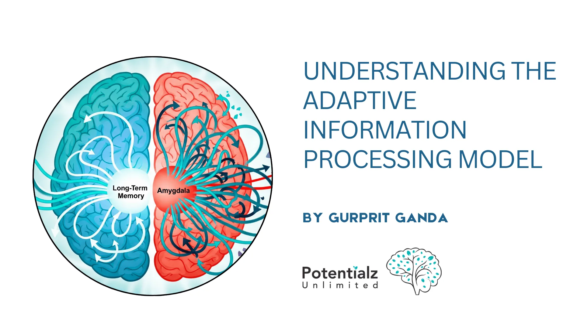 Understanding the Adaptive Information Processing Model: The Foundation of EMDR Therapy
