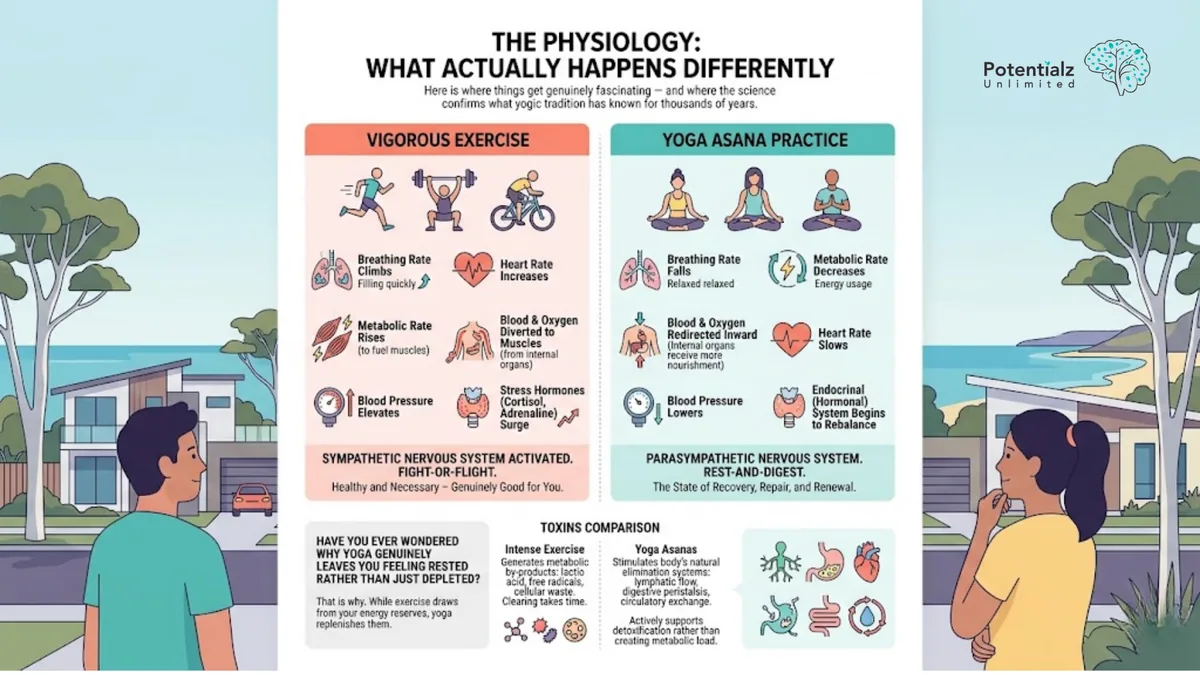 Side-by-side physiology infographic — vigorous exercise activating the sympathetic nervous system versus yoga asanas activating the parasympathetic nervous system